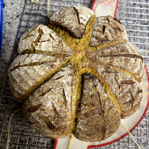 Pumpkin sourdough loaf